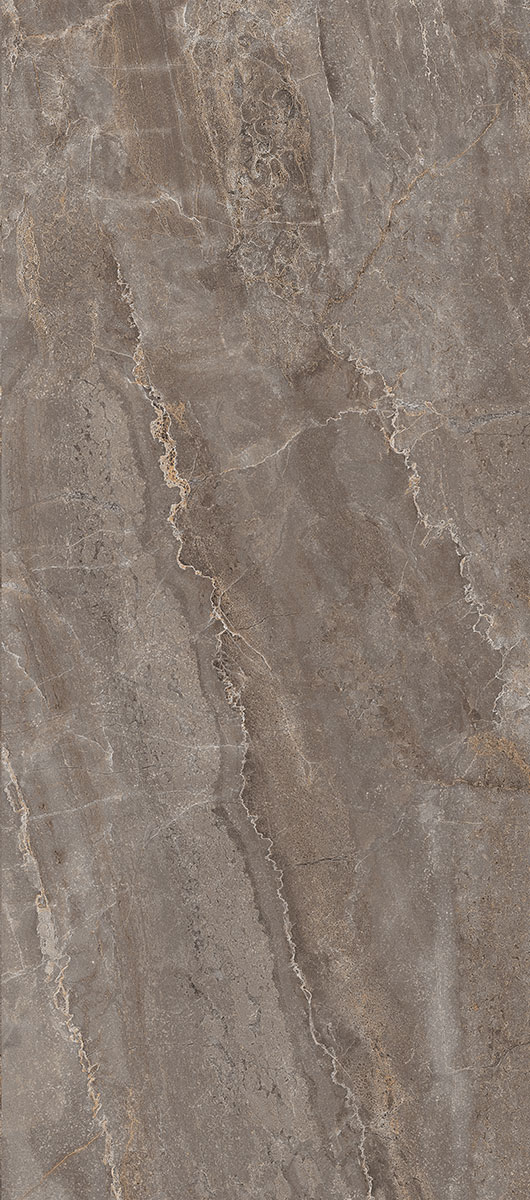 Керамогранит Парнас пепельный 40х80, SG809502R