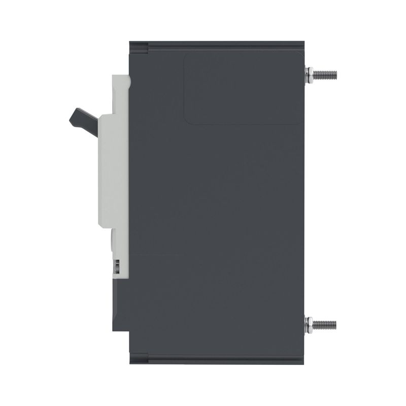 Выключатель автоматический 2P 160А 70кА pro MNX160L при AC240V расцепитель TMD YON MNX160L2PTMD0160