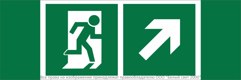 Знак безопасности NPU-3311.E37"Напр. к эвакуационному выходу направо вверх" Белый свет a32687