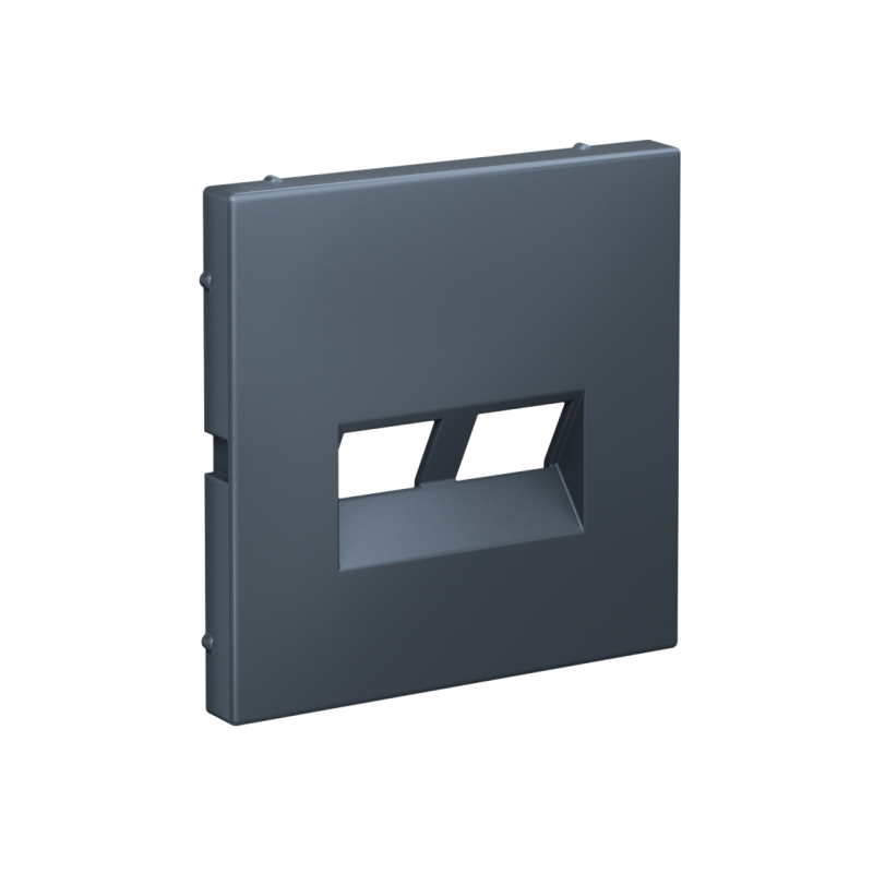 Накладка двойная ArtGallery для информационных функций типа Keystone грифель SE GAL000790