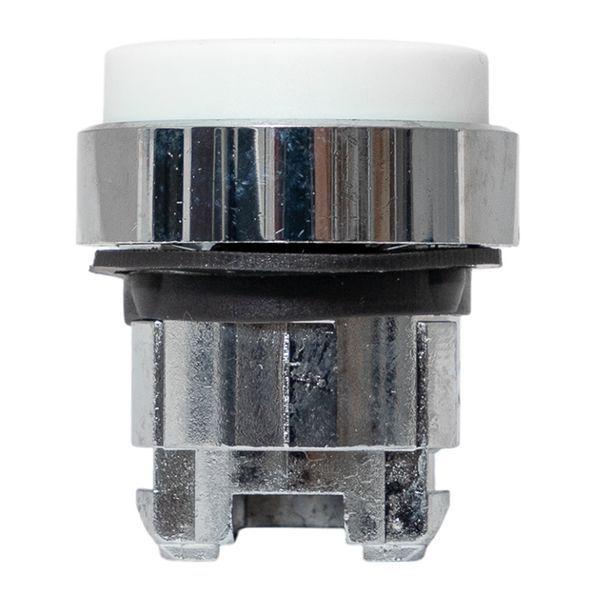 Механизм кнопки исполнительный XB4 IP65 выпирающая возвратный без фиксации без подсветки бел. EKF XB4BL-W-65