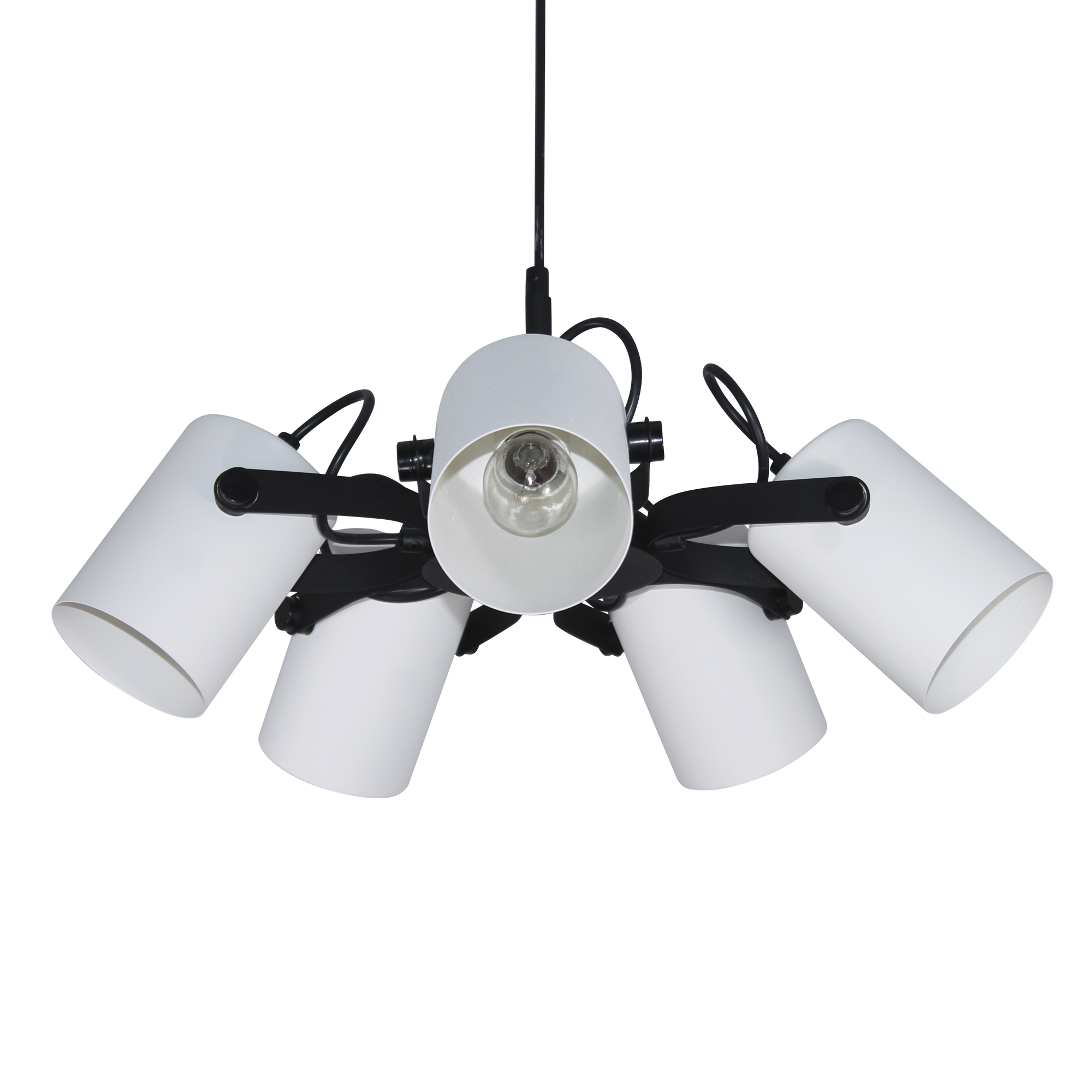 Светильник  подвесной Гамма 251 черн.бел. муар. НСБ 01-5х60-140 Е27