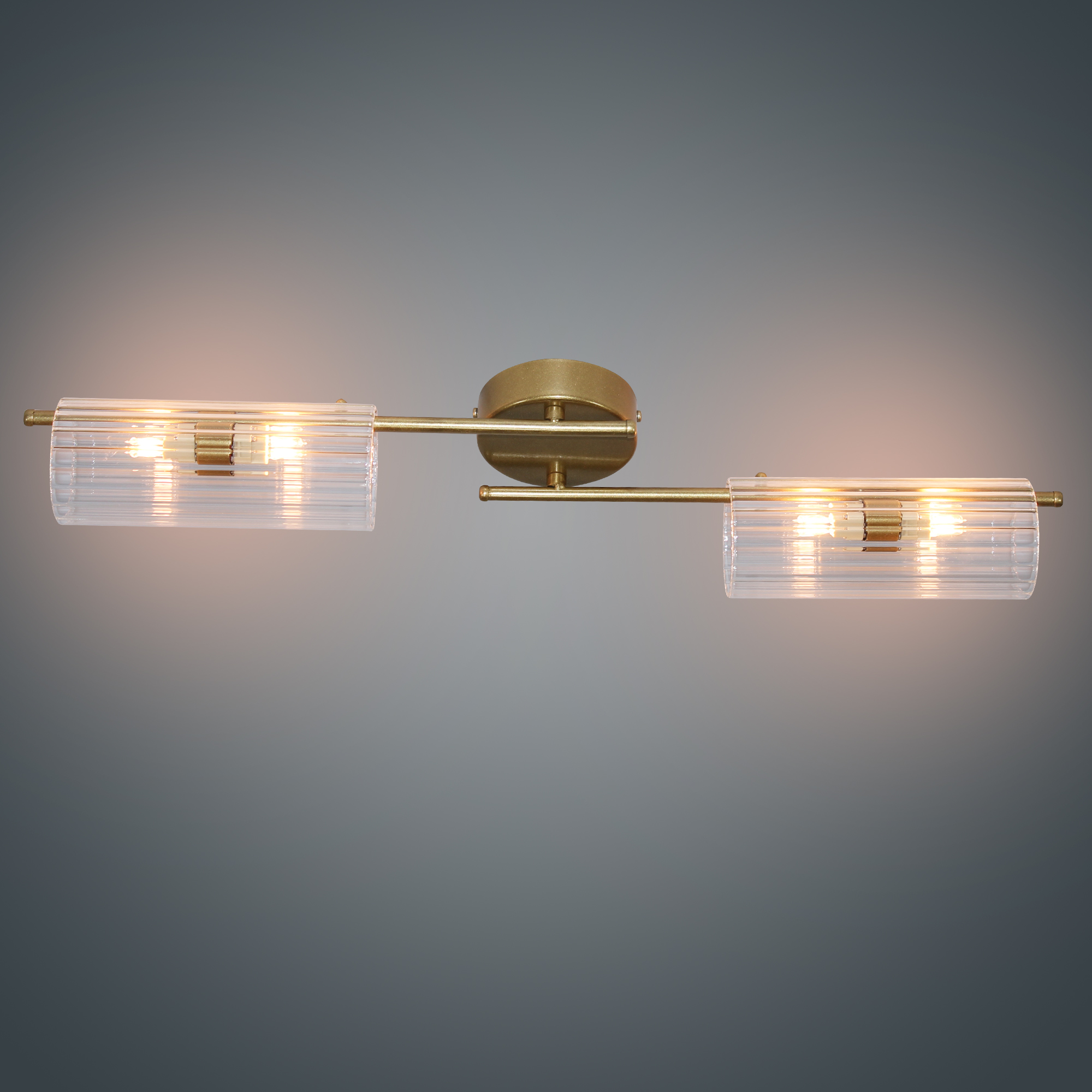 Светильник потолочный Экстра 141 зол. НПБ 01-4х40-101