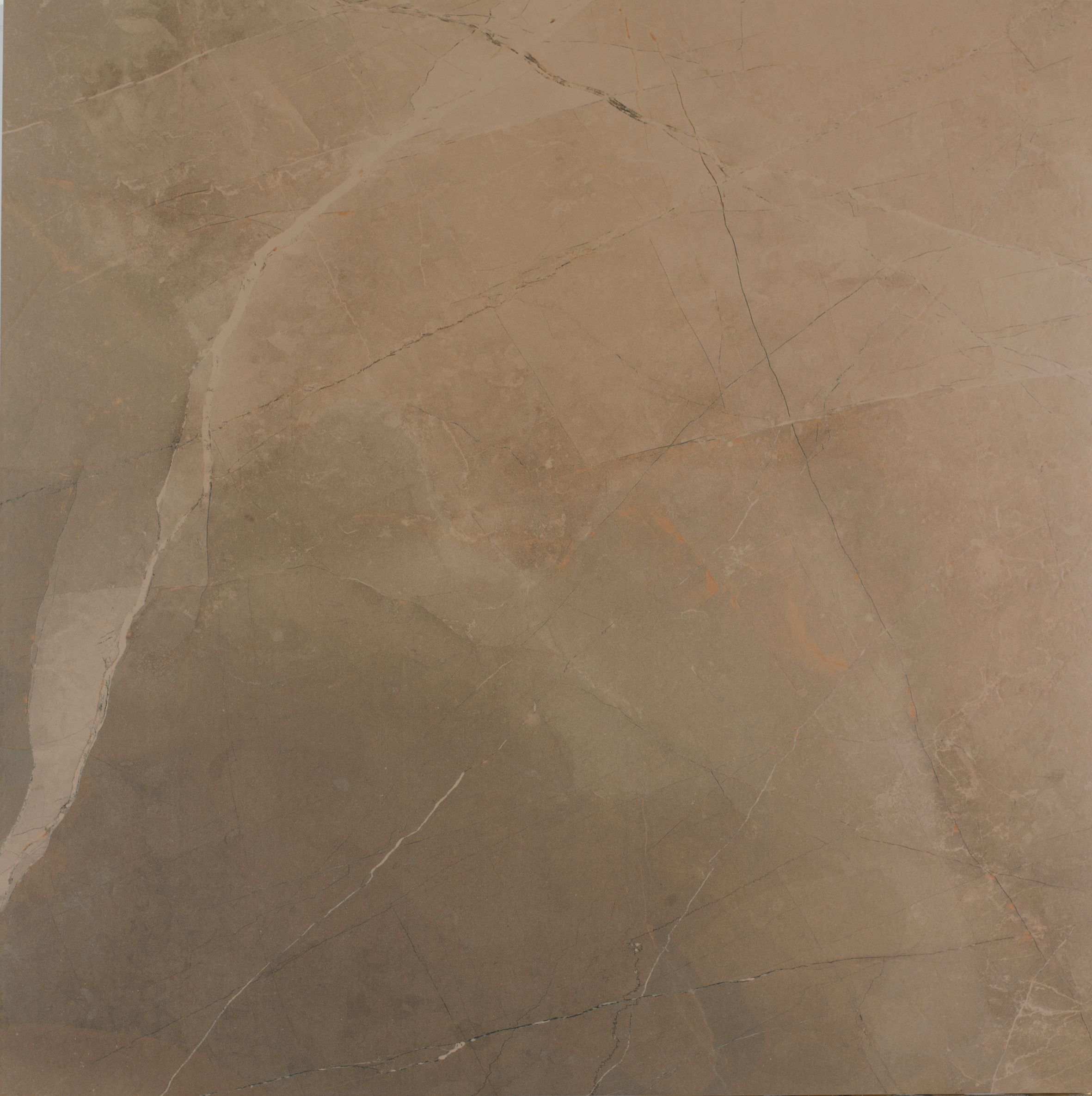 Плитка из керамогранита матовая Marazzi Italy Evolutionmarble коричневый (MJX5)