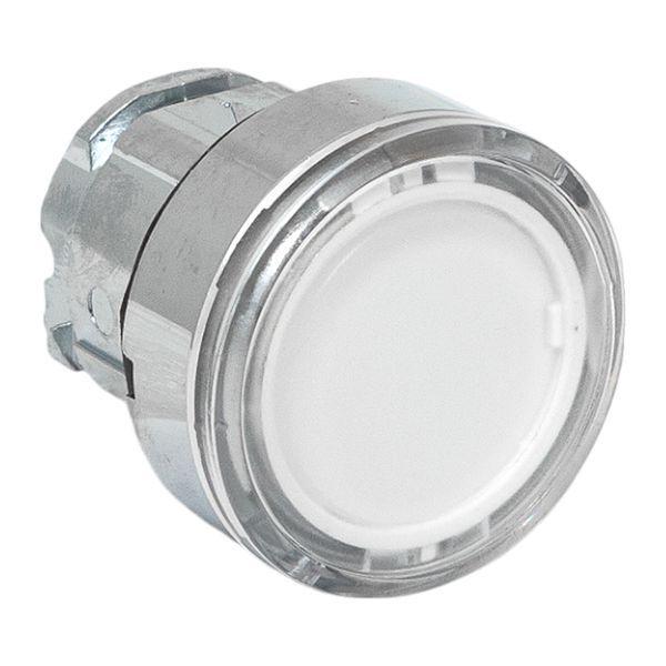 Механизм кнопки исполнительный XB4 IP65 плоский возвратный без фиксации с подсветкой бел. EKF XB4BW-W-65