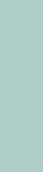 Плитка Aquarelle Tiffany 5,8х24, 12-01-4-29-10-14-2561