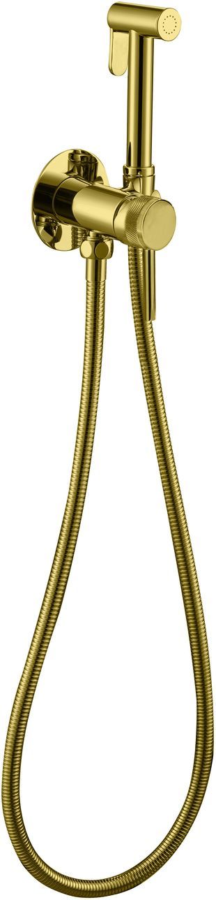 5.31A29-GB PRIORITY 3.0 Смес.с гиг.душ,Латунь+Вставка в держ,Kerox, скрыт.часть,браш.золото (330520)