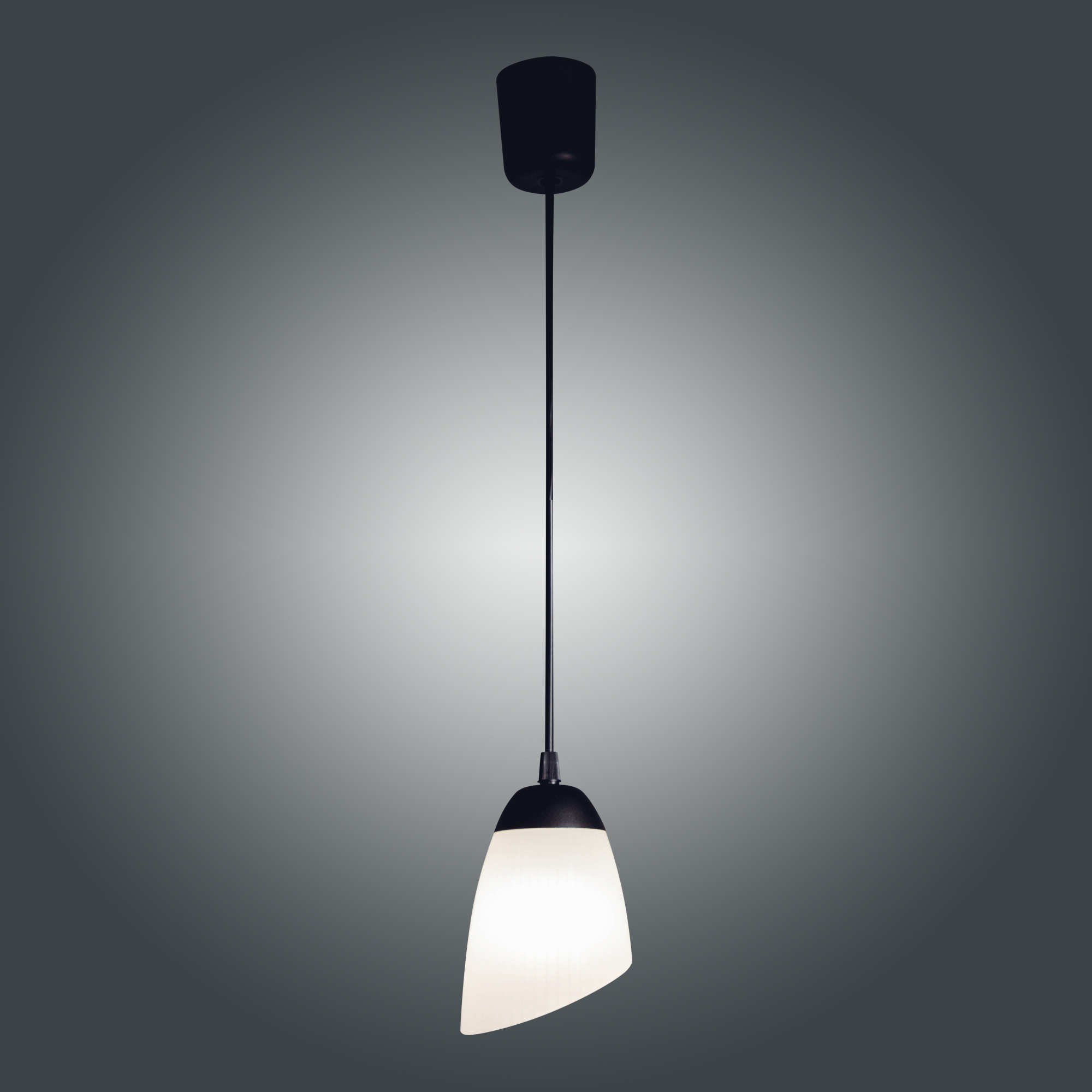 Светильник Симпл 211 черн.муар (Плафон 0475 ) НСБ 01-60-153 Е27 ГИ