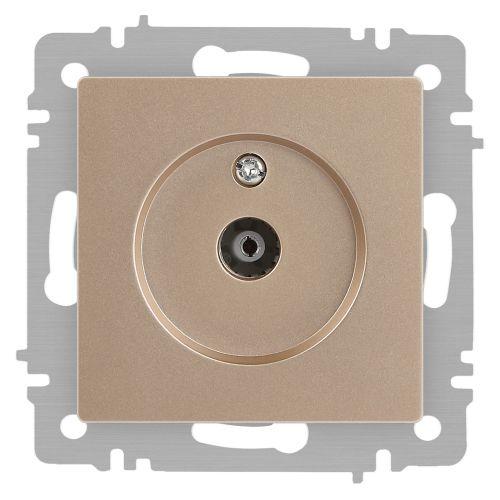Розетка телевизионная одиночная TV СП Accent 6-301-04 IP20 шампань Intro Б0063609