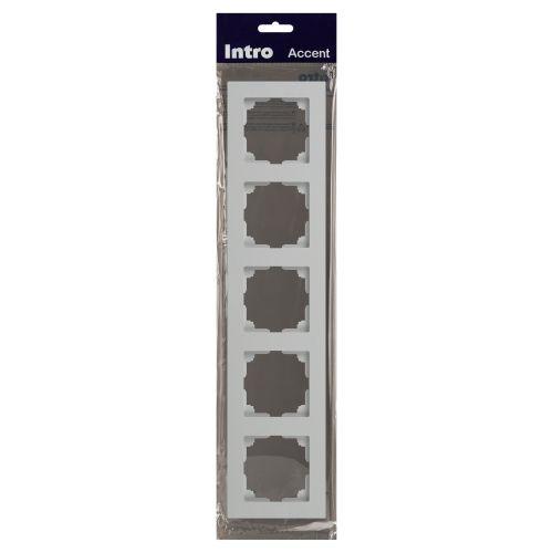 Рамка 5-м СП Accent 6-505-01 бел. Intro Б0063775