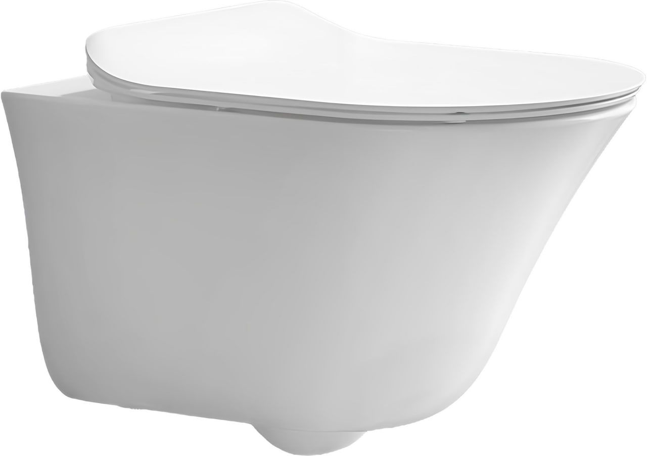 E28078RU-0 Унитаз подвесной VIVE (БЕЗ СИДЕНЬЯ!!!) 557х364 Jacob Delafon (337205)