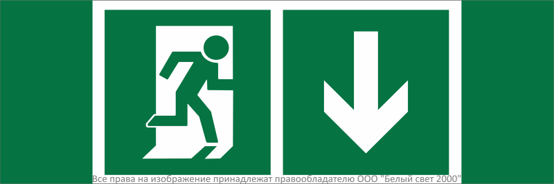 Знак безопасности NPU-3311.E39"Указ. двери эвакуац. выхода (прав.)" Белый свет a32689