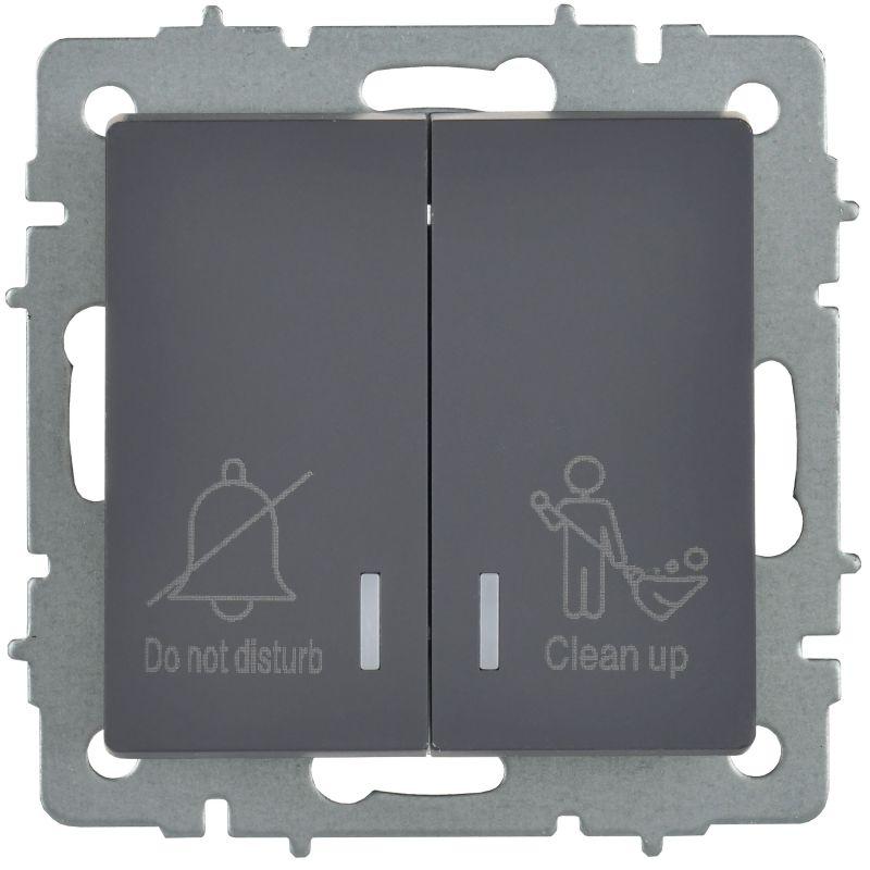 Выключатель 2-кл. BRITE 10А ВС10-2-9-БрГ для отелей с индик. механизм графит IEK BR-V20-2-10-K53