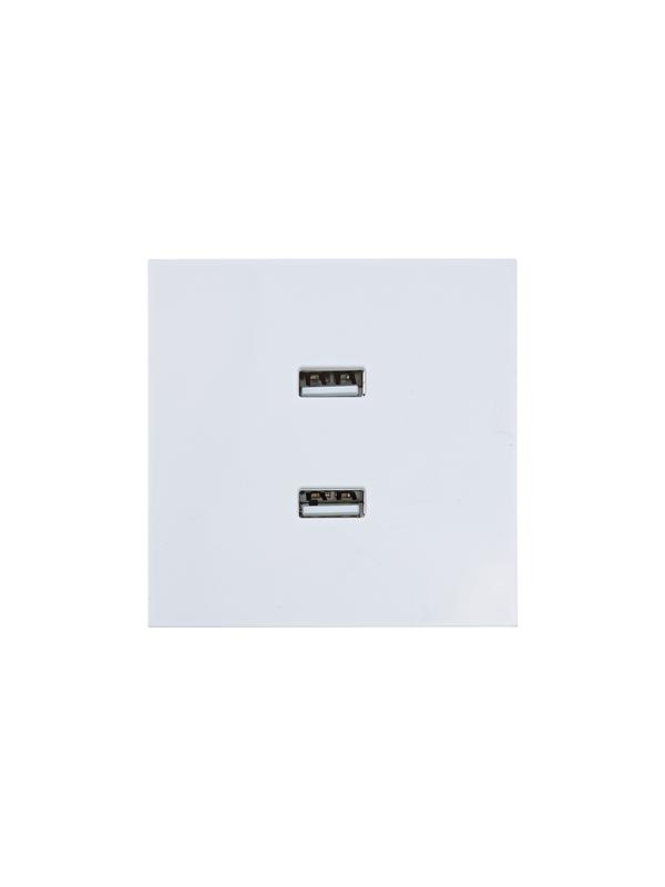 Розетка 2-мест. USB разъем СП ZIMA IP20 бел. LEZARD 704-0288-192