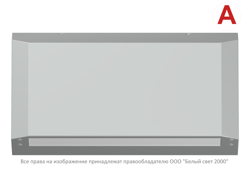 Светильник аварийный BS-CUSTOS-10-L2-24 V01 4000К Gray Белый свет a32424