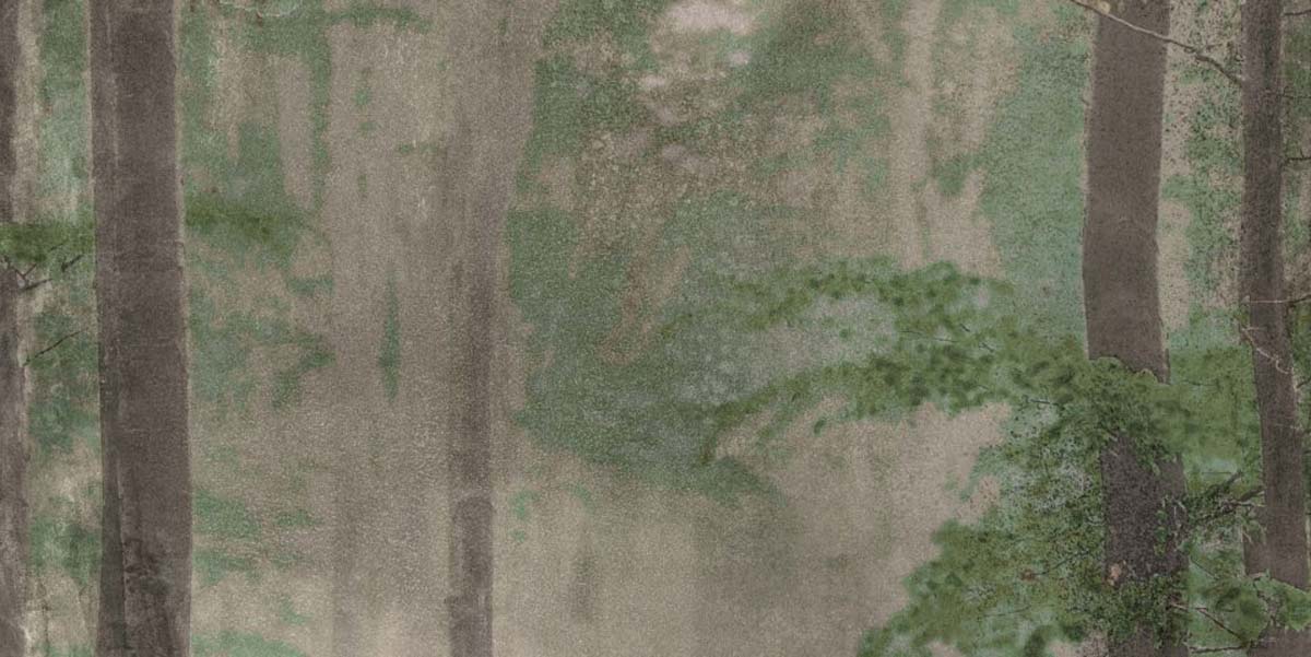 Керамическая плитка W&S D CP4 WOODS B  120X240