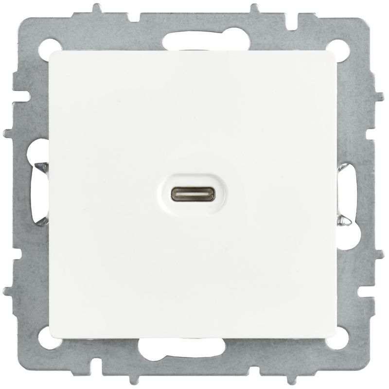 Розетка СП BRITE РЮ12-1-БрАБ USB C 65Вт высокоскор. заряд. арктич. бел. IEK BR-U13-065-K91