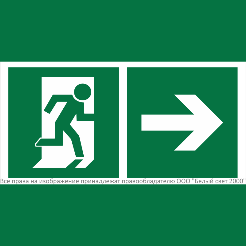 Знак безопасности NPU-2424.E35"Напр. к эвакуационному выходу направо" Белый свет a28728