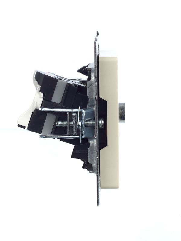 Розетка компьютерная + телевизионная 2-м Brite РТВ/РК12-БрКр RJ45 кат.5E + TV механизм беж. IEK BR-AK20-1-K10