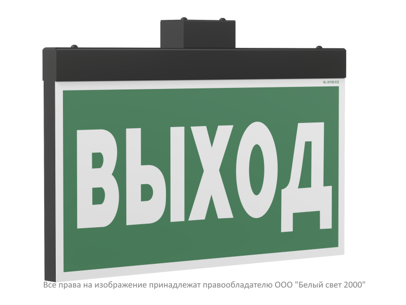 Указатель световой BS-FIRMUS-71-S1-INEXI2 Black Белый свет a33698