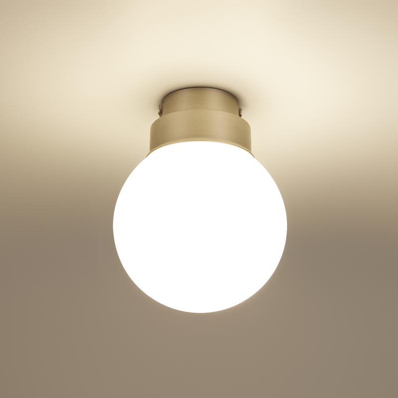 Светильник Kron 40Вт E14х1 IP 44 потолочн. Freya FR5339CL-01N2