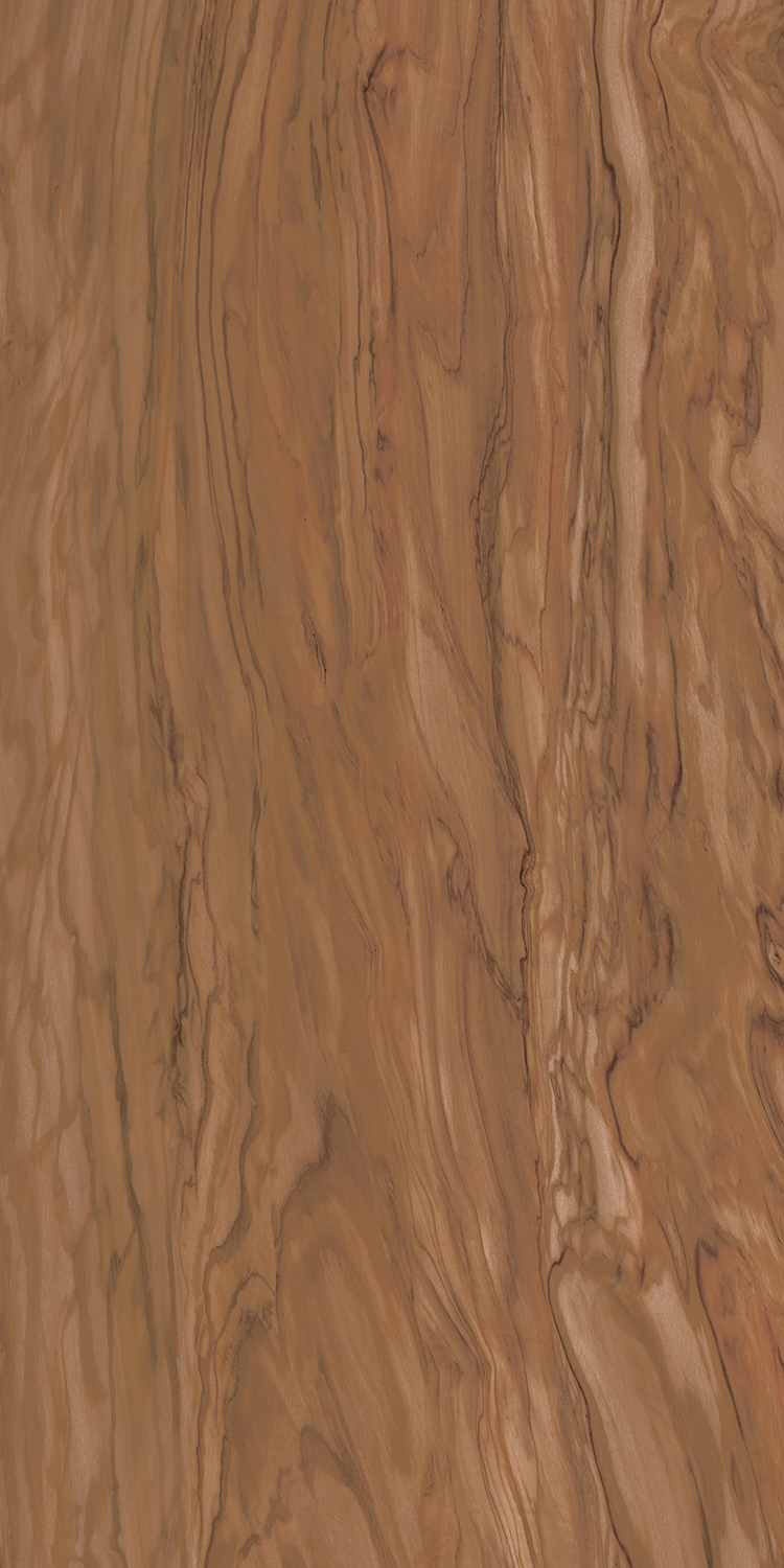 Керамогранит Олива коричневый 60х119,5, SG565300R