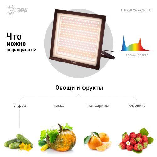 Прожектор светодиодный FITO-200W-Ra90-LED 200Вт для растений полного спектра профессиональный Эра Б0059879