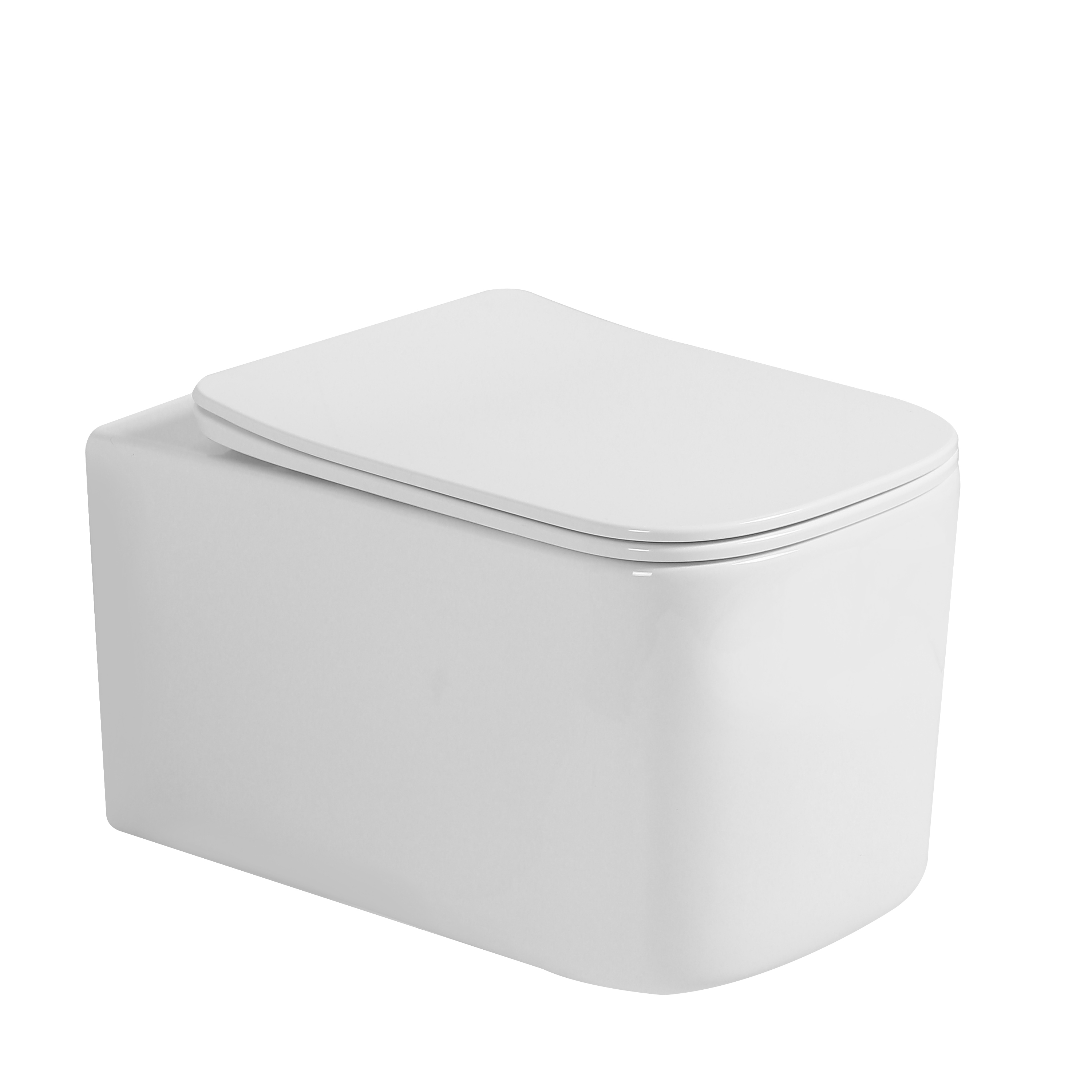 Унитаз подвесной с функцией биде, Mane Белый матовый с крышкой