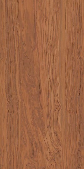 Керамогранит Олива коричневый 60х119,5, SG565300R