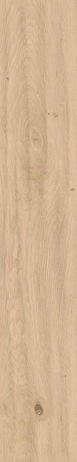 Керамогранит Atlas Concorde Log AX3C Bright Oak Matt 20x120