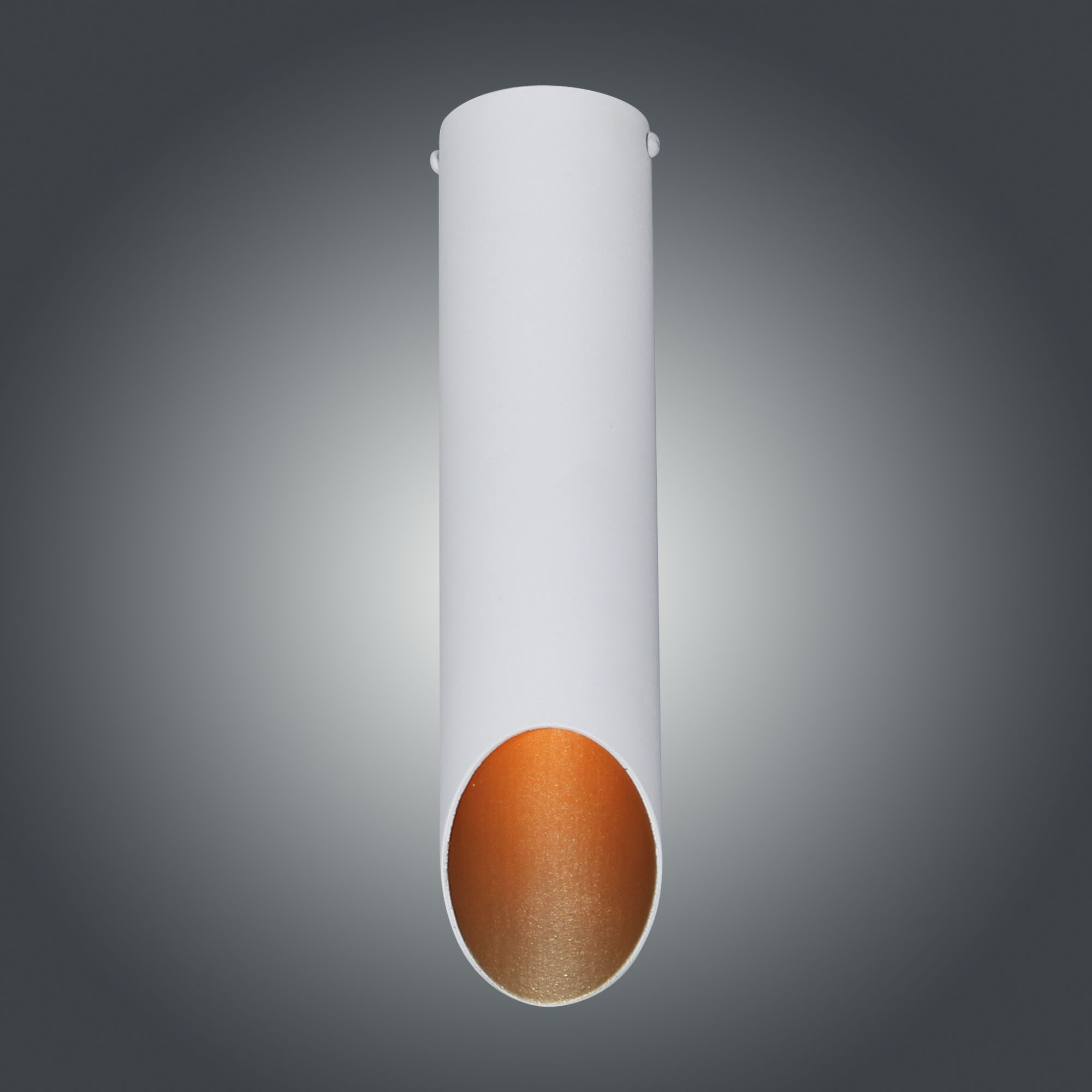 Светильник потолочный Соната 112 бел./зол. НПБ 01-25-102 G9