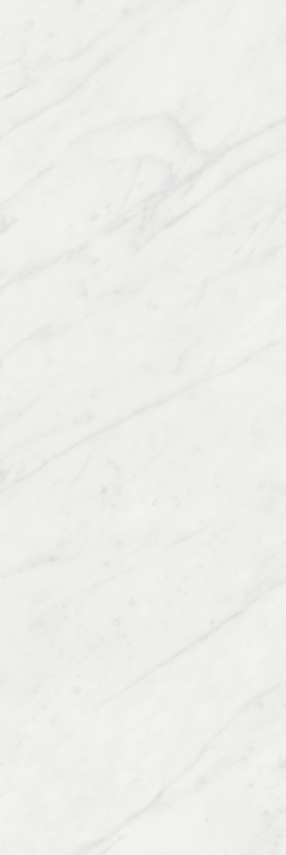 Плитка Борсари белый 25х75, 12103R