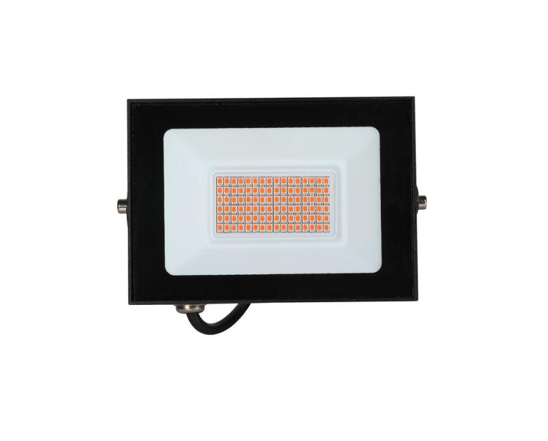 Прожектор светодиодный ФИТО LFL-3005 C02 30Вт черн. Camelion 15835