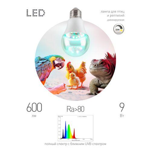Лампа Chicken FITO-Dim 9Вт E27 для птиц и рептилий с UVB спектром Эра Б0059884