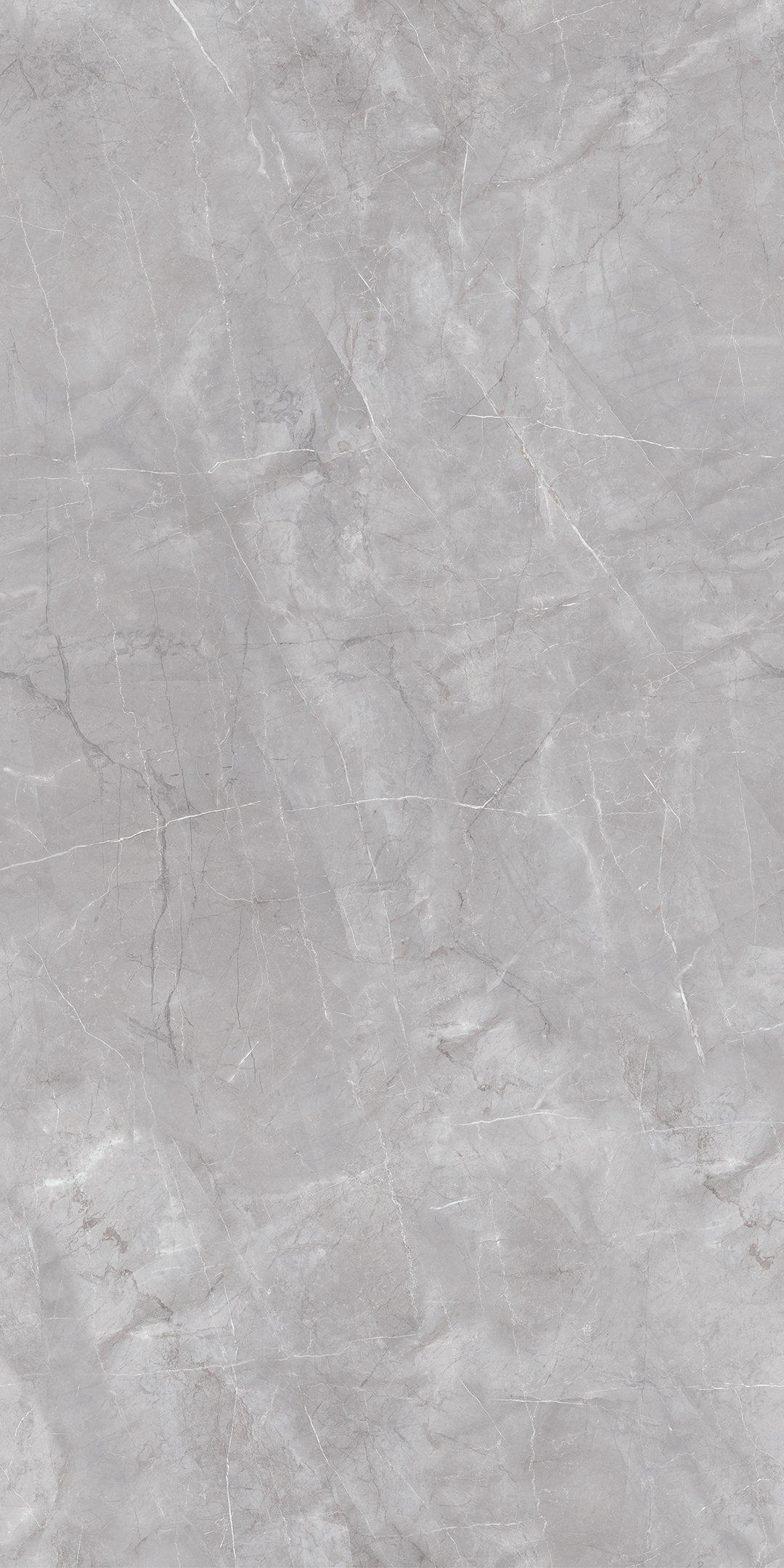 Керамогранит Риальто серый 119,5х238,5, SG590200R