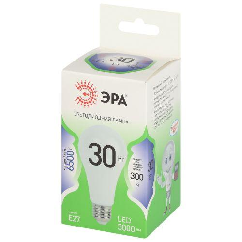 Лампа светодиодная GREEN LINE A65-30W-865-E27 GL 30Вт груша 6500К свет холод. E27 Эра Б0067145