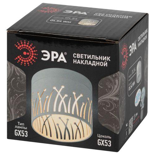 Светильник OL54 WH под лампу GX53 IP20 настенно-потолочный спот бел. Эра Б0061191