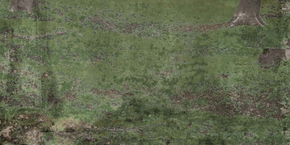 Керамическая плитка W&S D CP4 WOODS B  120X240