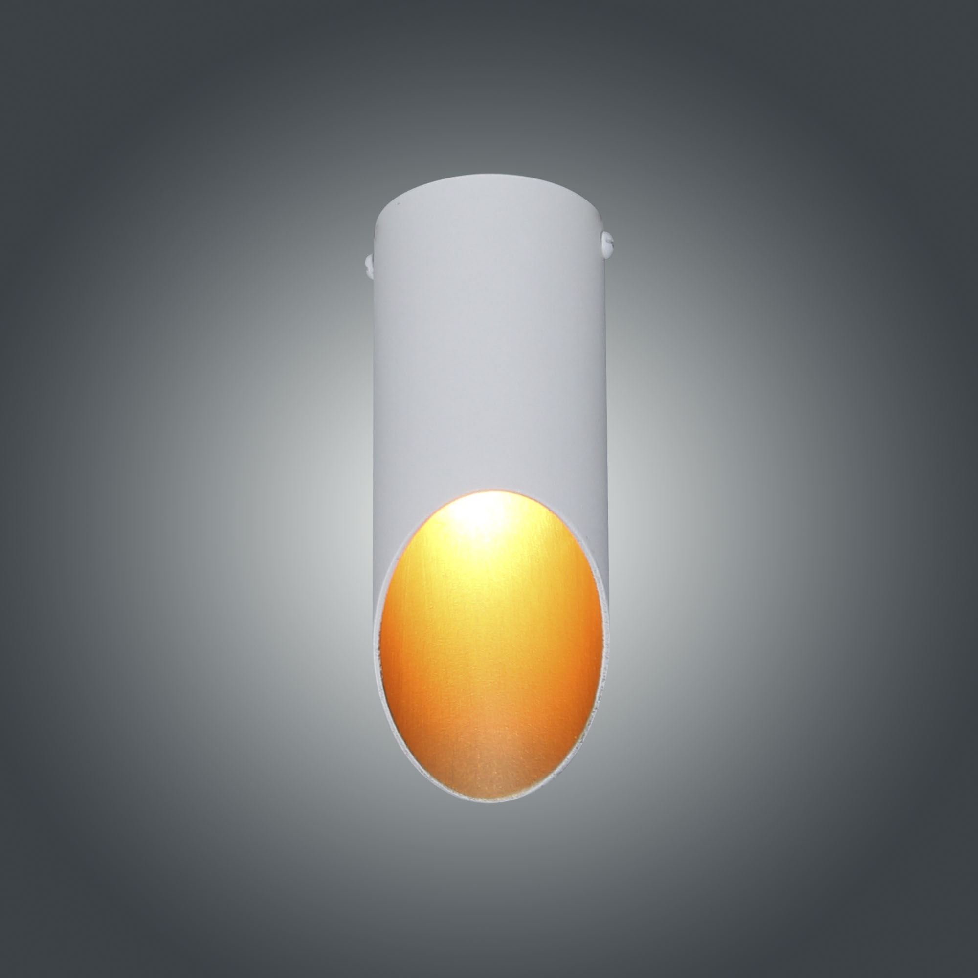 Светильник потолочный  Соната 111 бел./зол. НПБ 01-25-101 G9