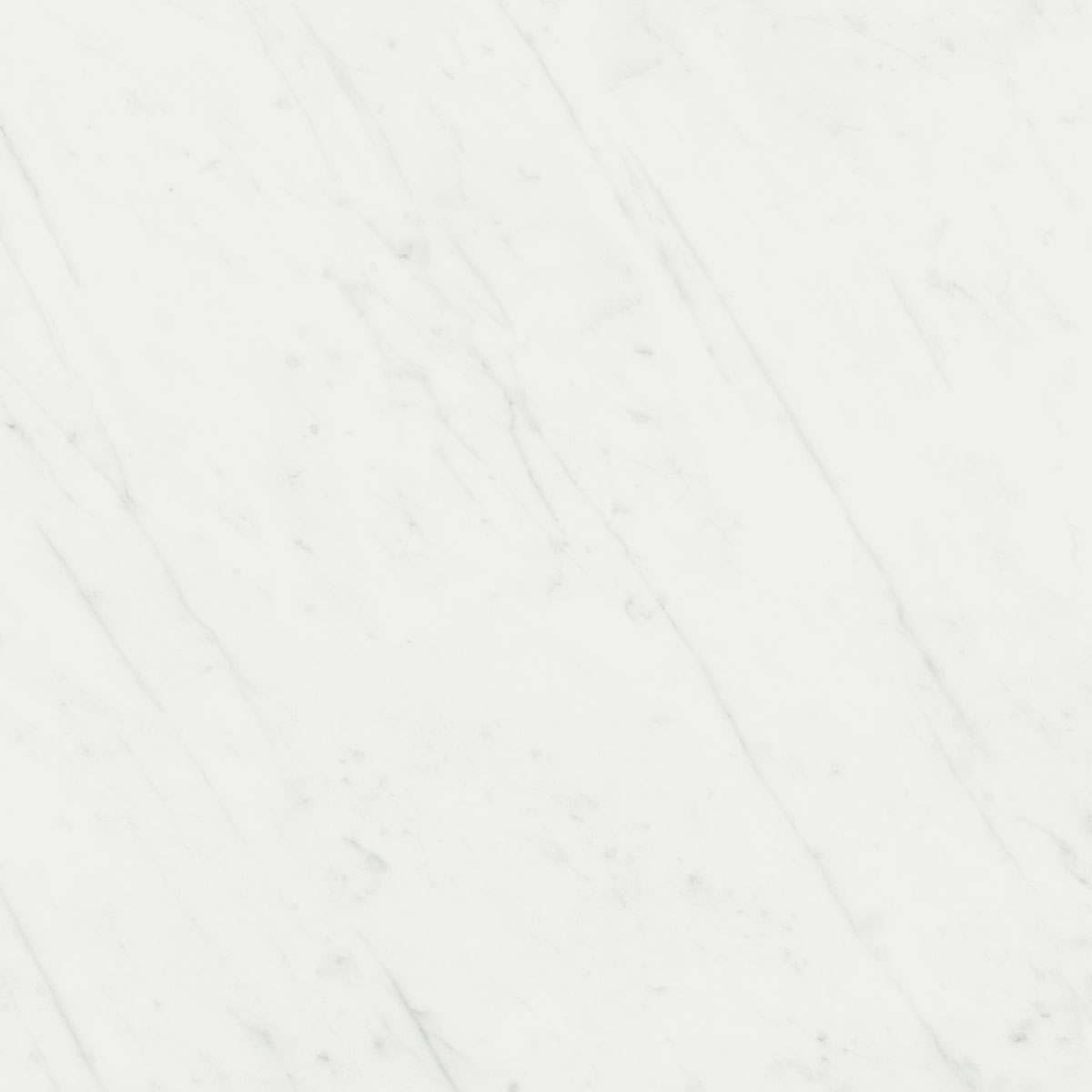 Керамогранит Борсари белый 50,2х50,2, SG453500R