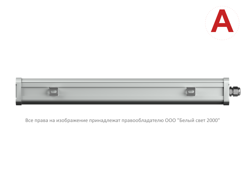 Светильник аварийный BS-AMON-10-L2-24 V02 5000К Белый свет a29202