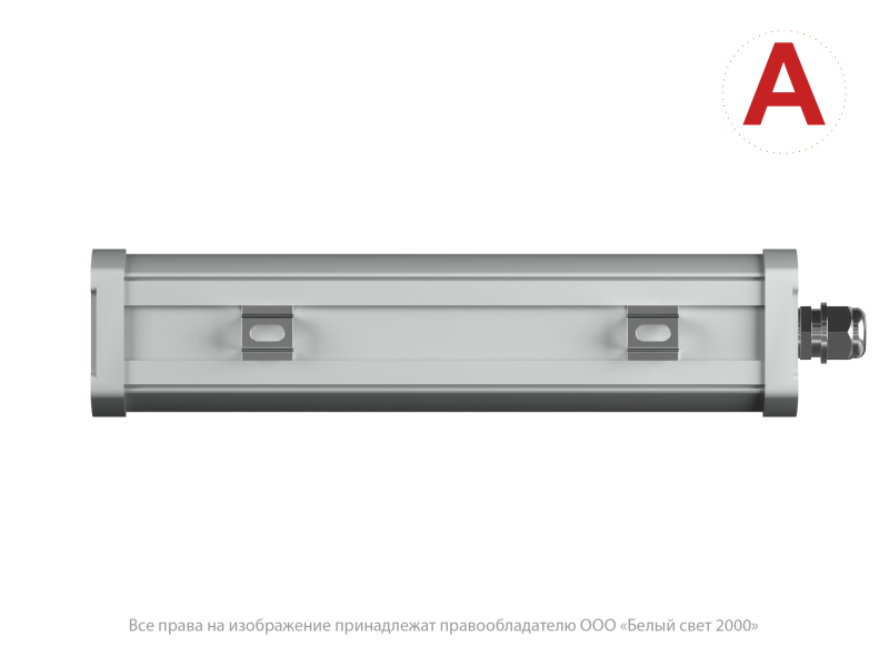 Светильник аварийный BS-AMON-10-L1-12/24 V04 4000К Белый свет a32477