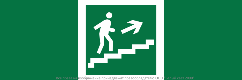 Знак безопасности NPU-3311.E15"Напр. к эвакуац. выходу по лестн. вверх (прав.)" Белый свет a32678