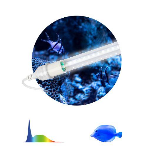Светильник светодиодный FITO-10W-Ra90-Т8-AQUA 10Вт для аквариума (патроны в комплекте; IP20 лампа/IP65 патроны) полный спектр Эра Б0057417