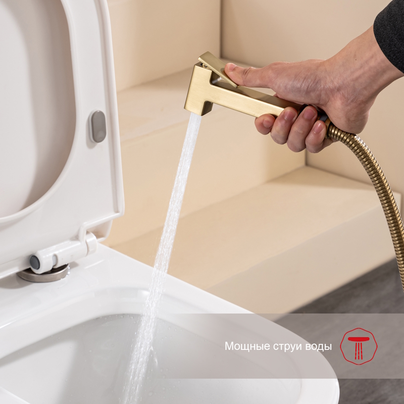 Гигиенический душ со смесителем Raglo R51.51.03, сатин золотой