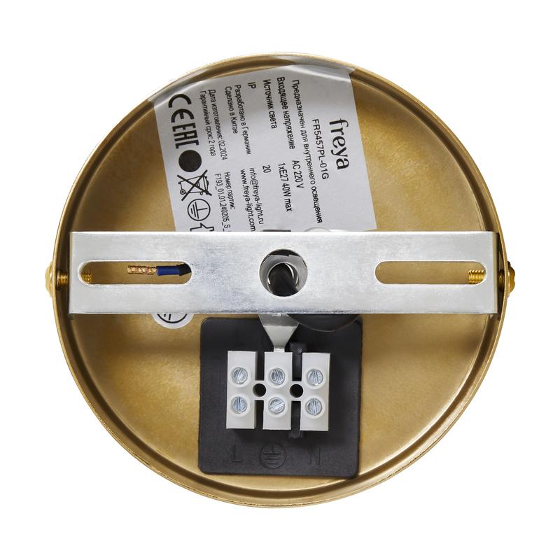 Светильник подвесной Cosmic 1х15Вт E27 IP20 Freya FR5457PL-01G