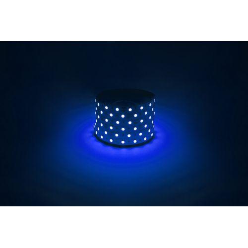 Лента светодиодная LS5050 -14.4-60-12-B-IP20-1 year-5m син. (уп.5м) Эра Б0059921