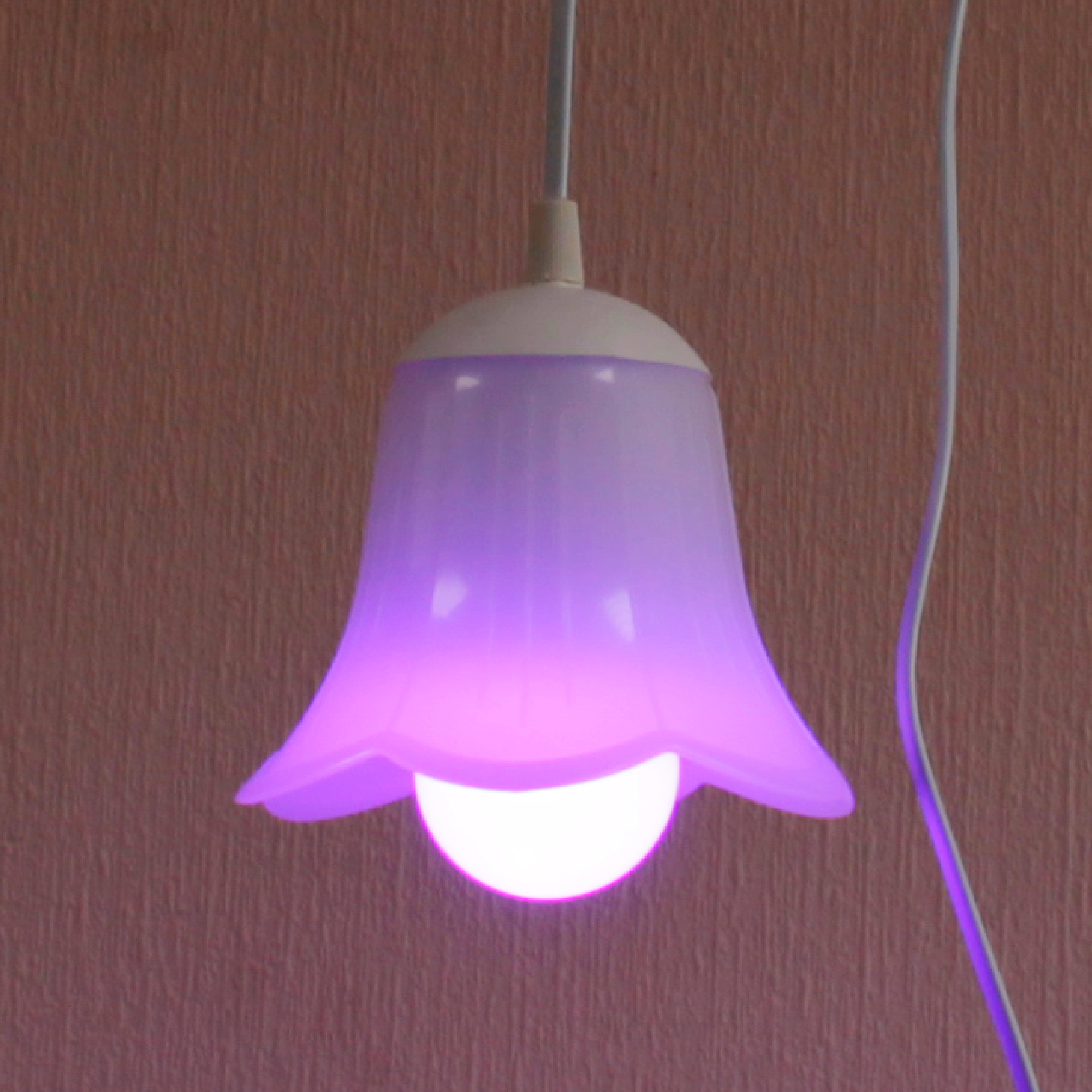 Светильник Фито ННБ 63-60-017 Е27 провод-выключатель-вилка 3 м ГИ