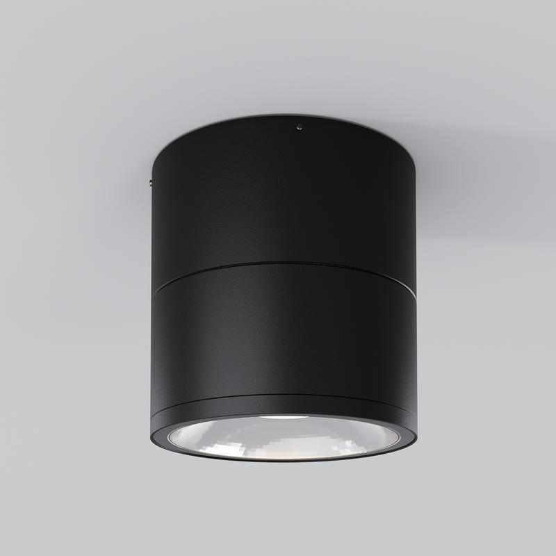 Светильник Spin 12Вт 3000К IP54 потолочн. Maytoni O310CL-L12GF3K