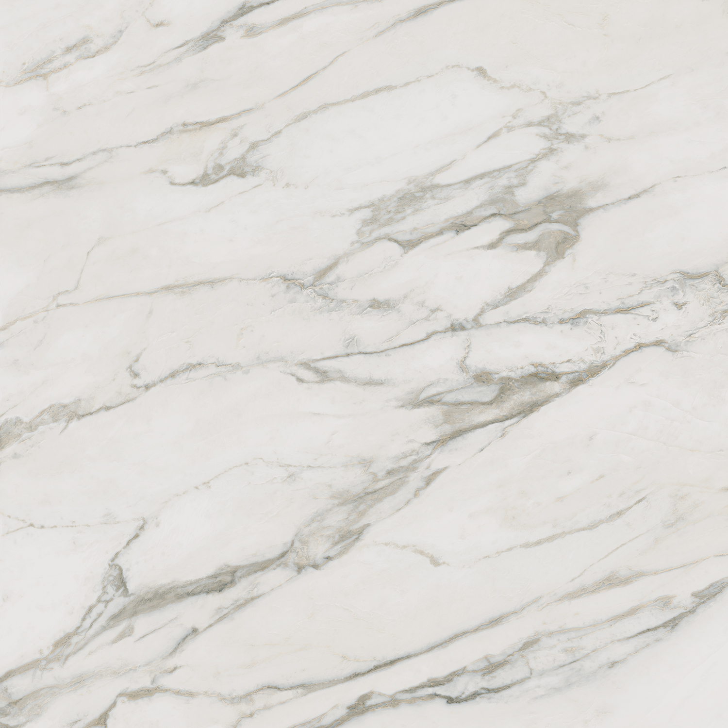 Керамогранит Буонарроти белый 60х60, SG642800R